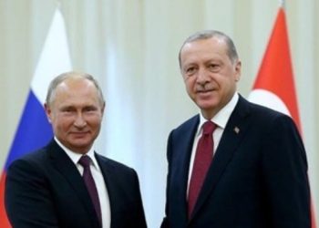 بوتين وإردوغان يبحثان هاتفياً علاقات البلدين والوضع في أوكرانيا