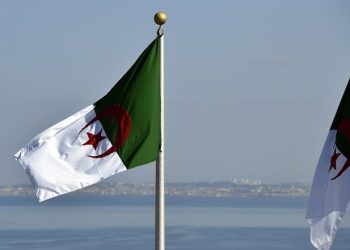كيف اتسع دور “الدبلوماسية الروحية” للجزائر في أفريقيا؟